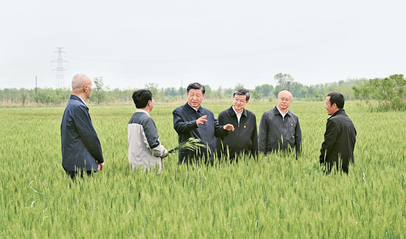 2023年5月11日至12日，中共中央總書記、國家主席、中央軍委主席習(xí)近平在河北考察，并主持召開深入推進(jìn)京津冀協(xié)同發(fā)展座談會。這是11日上午，習(xí)近平在滄州市黃驊市舊城鎮(zhèn)仙莊片區(qū)旱堿地麥田考察時(shí)，同種植戶、農(nóng)技專家親切交流。 新華社記者 李學(xué)仁/攝